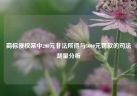 商标侵权案中200元非法所得与5000元罚款的司法裁量分析