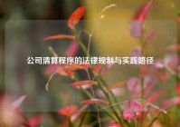 公司清算程序的法律规制与实践路径