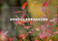 深圳地区知名律师事务所综合评析