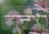 《中华人民共和国治安管理处罚法》全文解读与适用要义