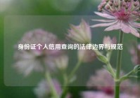 身份证个人信用查询的法律边界与规范