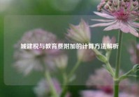 城建税与教育费附加的计算方法解析