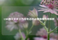 12309拖欠农民工热线电话的法律保障作用探析
