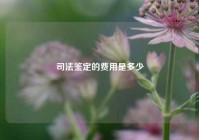 司法鉴定的费用是多少