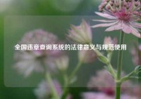 全国违章查询系统的法律意义与规范使用