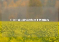 公司注销法律流程与相关费用解析