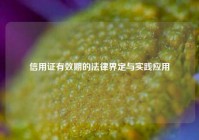 信用证有效期的法律界定与实践应用