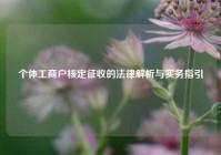 个体工商户核定征收的法律解析与实务指引