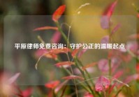 平原律师免费咨询：守护公正的温暖起点