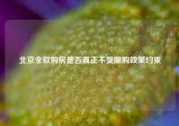 北京全款购房是否真正不受限购政策约束
