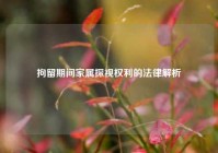 拘留期间家属探视权利的法律解析