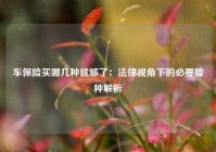 车保险买哪几种就够了：法律视角下的必要险种解析