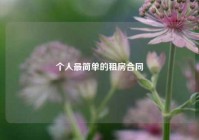 个人最简单的租房合同