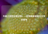 失眠之夜的法律边界：一起特殊家庭案件引发的思考