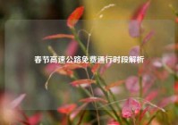 春节高速公路免费通行时段解析