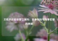 欠钱不还能报警立案吗：民事纠纷与刑事犯罪的界限