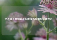 个人网上缴纳养老保险操作指引与法律规范