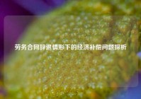 劳务合同辞退情形下的经济补偿问题探析