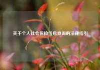 关于个人社会保险信息查询的法律指引