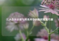 三人合伙出资与劳务并存的股权配置方案