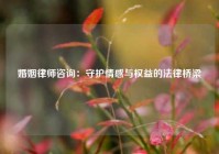 婚姻律师咨询：守护情感与权益的法律桥梁