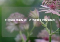 公租房有继承权吗：法律视角下的权益解析