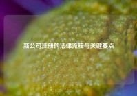 新公司注册的法律流程与关键要点