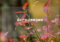 知识产权法律概念解析