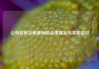 公司名称注册查询的法律意义与实务指引