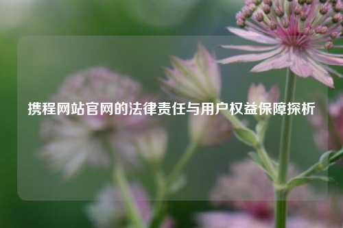 携程网站官网的法律责任与用户权益保障探析