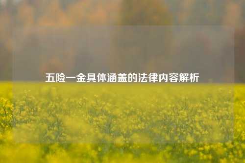 五险一金具体涵盖的法律内容解析