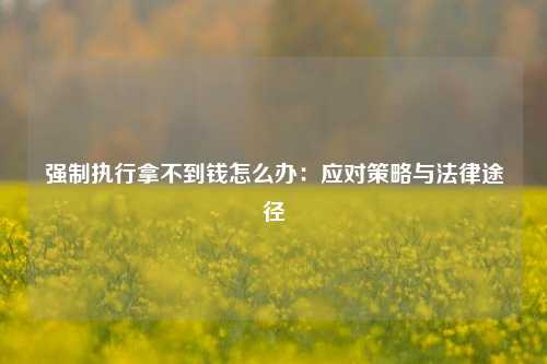 强制执行拿不到钱怎么办:应对策略与法律途径