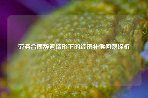 劳务合同辞退情形下的经济补偿问题探析