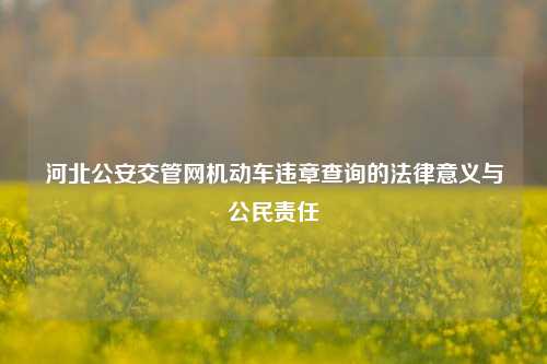 河北公安交管网机动车违章查询的法律意义与公民责任