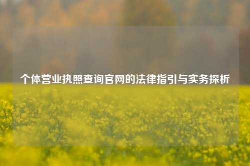 个体营业执照查询官网的法律指引与实务探析
