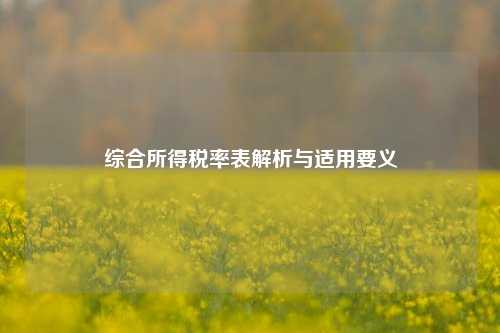 综合所得税率表解析与适用要义