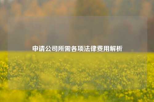 申请公司所需各项法律费用解析