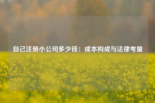 自己注册小公司多少钱：成本构成与法律考量