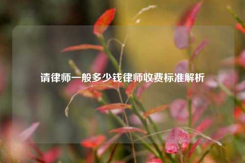 请律师一般多少钱律师收费标准解析