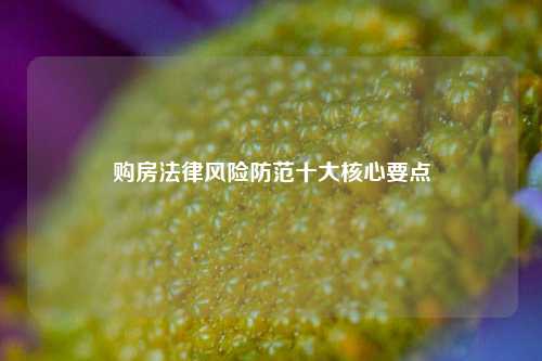 购房法律风险防范十大核心要点