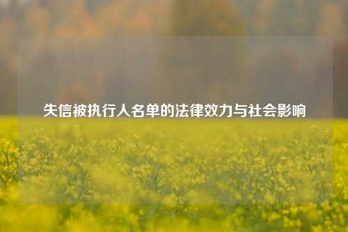 失信被执行人名单的法律效力与社会影响
