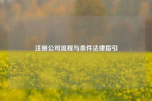 注册公司流程与条件法律指引