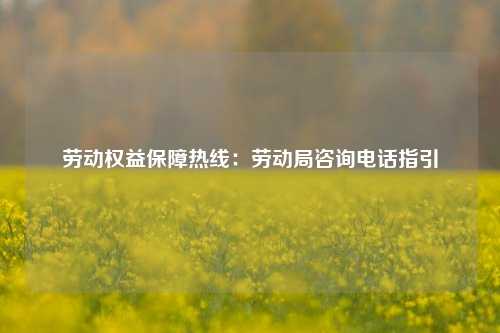 劳动权益保障热线：劳动局咨询电话指引