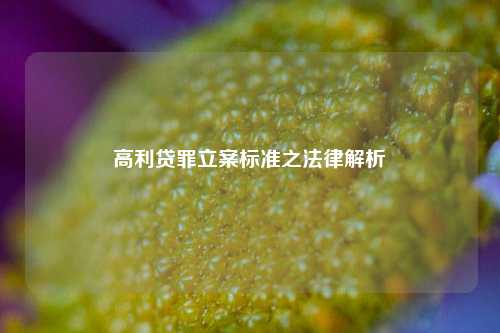 高利贷罪立案标准之法律解析