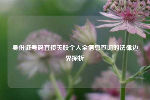 身份证号码直接关联个人全信息查询的法律边界探析