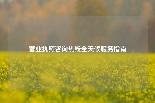营业执照咨询热线全天候服务指南