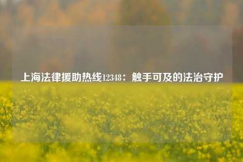 上海法律援助热线12348：触手可及的法治守护