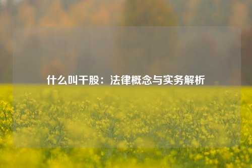 什么叫干股:法律概念与实务解析