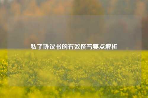 私了协议书的有效撰写要点解析