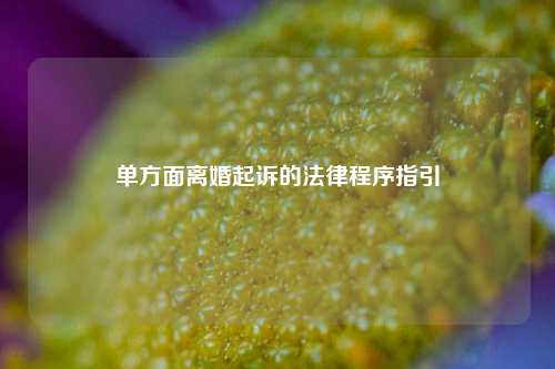 单方面离婚起诉的法律程序指引
